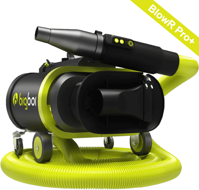 Bigboi BlowR Pro Plus Car Blower MK2