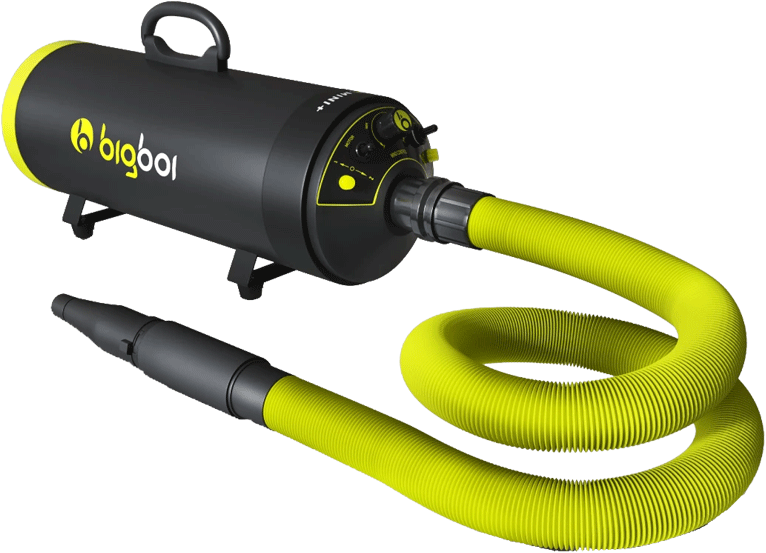 BigBoi BlowR Mini Plus Twin Motor Car Blower